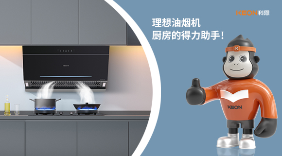 理想油煙機：廚房的得力助手！